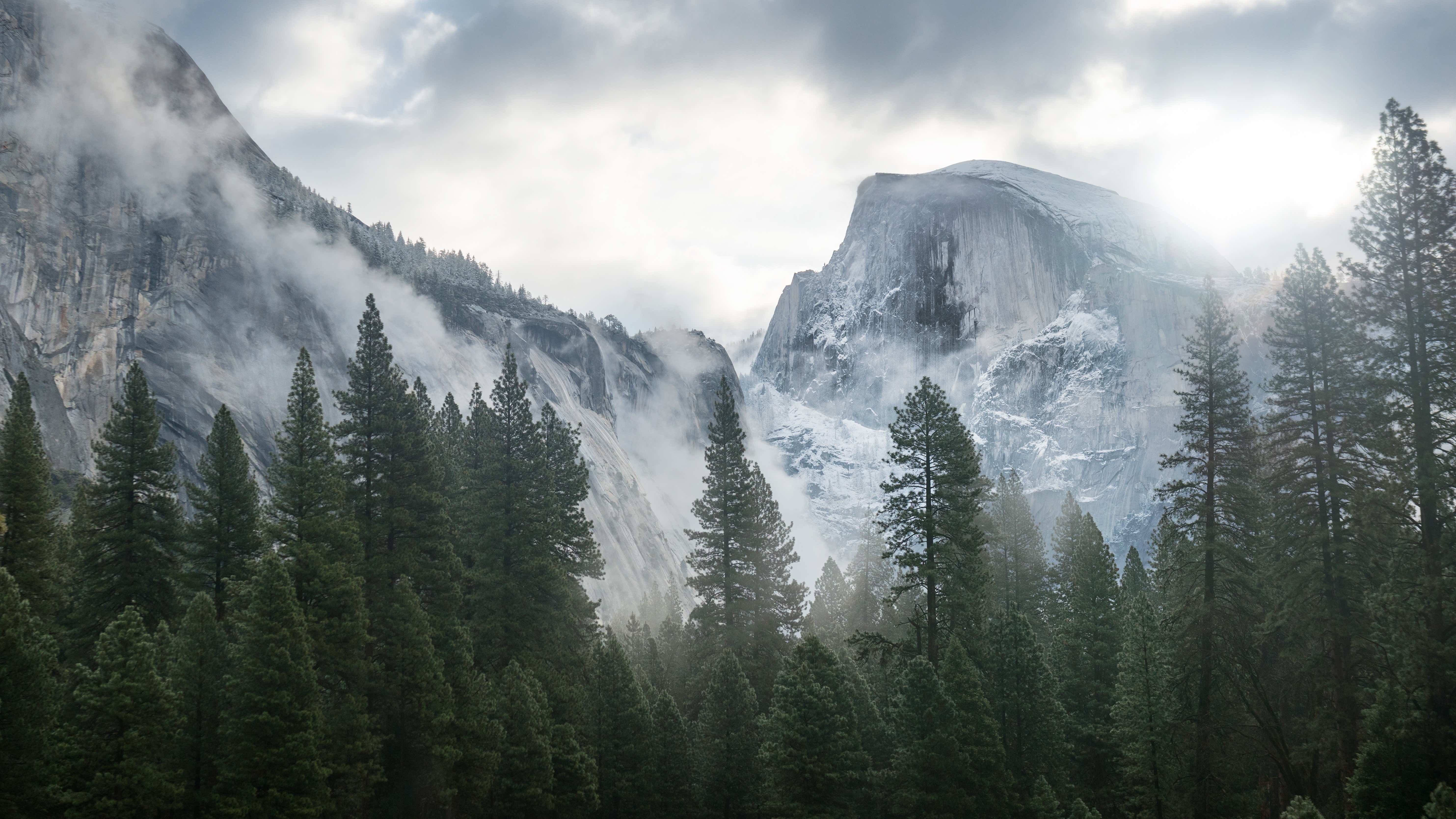 landscape_nature_tree_forest_woods_mountain_winter_snow_5932x3337.jpg